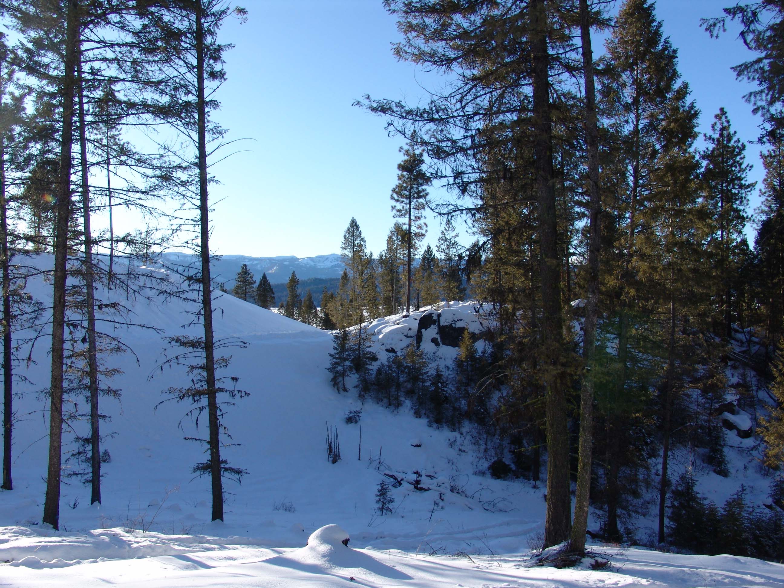 Cascade Lake Realty Bare Land 1 to 3 Acres